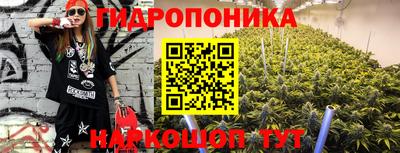 молекула духа Бийск
