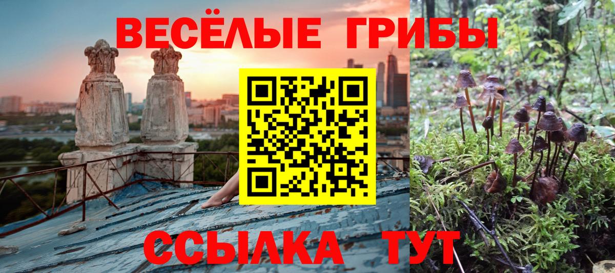 Калининград  Галлюциногенные грибы прущие грибы  Вход с VPN 